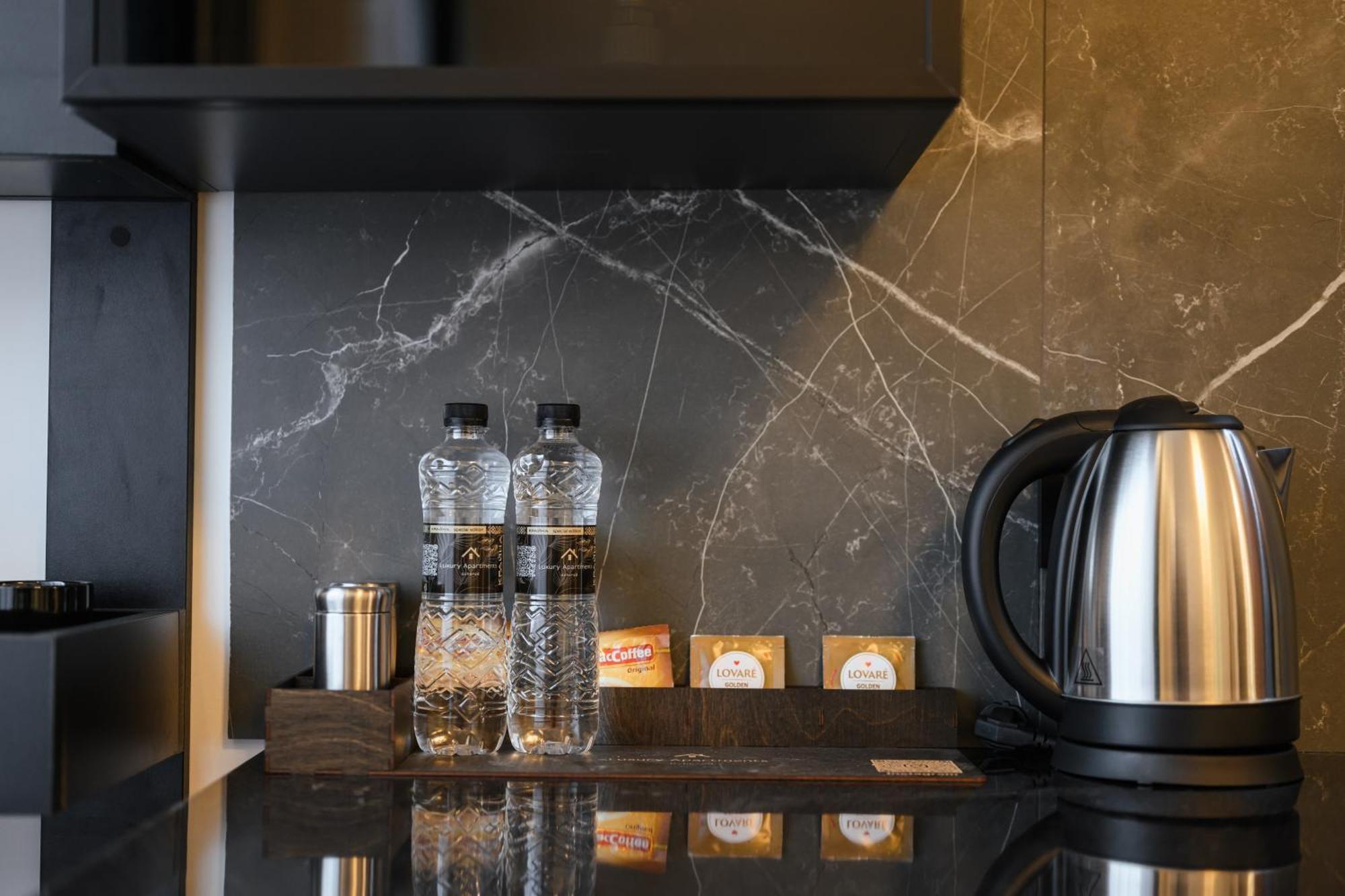 Luxury Apartments Laborca Ujgorod Dış mekan fotoğraf