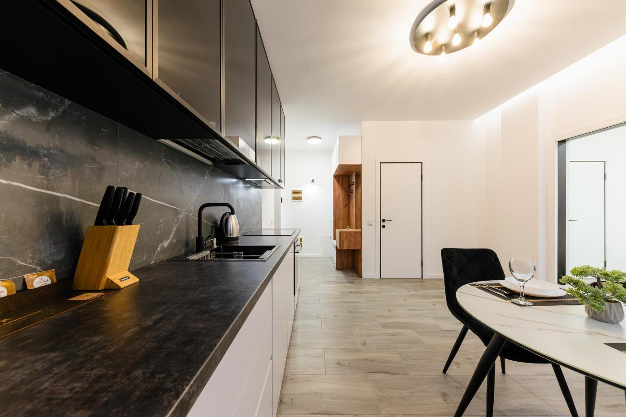 Luxury Apartments Laborca Ujgorod Dış mekan fotoğraf
